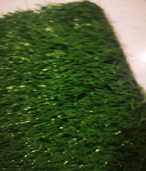 優(yōu)質(zhì)草坪特性